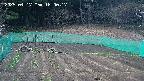 kannonmori-20250417180017.jpg
