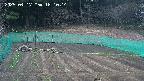 kannonmori-20250417181015.jpg