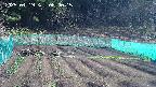 kannonmori-20250419080017.jpg