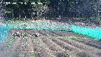 kannonmori-20250419084018.jpg