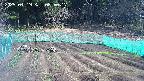 kannonmori-20250419085018.jpg
