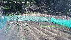 kannonmori-20250419093016.jpg