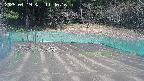 kannonmori-20250419114016.jpg