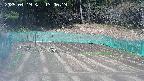 kannonmori-20250419130019.jpg