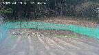 kannonmori-20250419173017.jpg