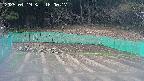 kannonmori-20250419180017.jpg