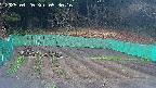 kannonmori-20250420053017.jpg