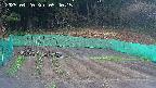 kannonmori-20250420054016.jpg