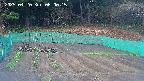 kannonmori-20250420060016.jpg