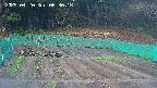 kannonmori-20250420063018.jpg