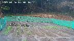 kannonmori-20250420064017.jpg
