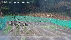 kannonmori-20250420065018.jpg