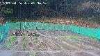kannonmori-20250420070016.jpg
