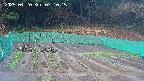 kannonmori-20250420071016.jpg