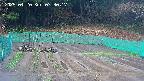 kannonmori-20250420073018.jpg