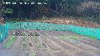 kannonmori-20250420075017.jpg