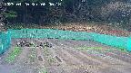 kannonmori-20250420080019.jpg