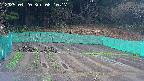 kannonmori-20250420081018.jpg