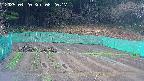 kannonmori-20250420082018.jpg