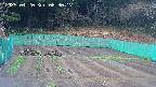 kannonmori-20250420083018.jpg
