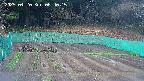 kannonmori-20250420084017.jpg