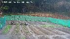 kannonmori-20250420085017.jpg
