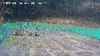 kannonmori-20250420091016.jpg