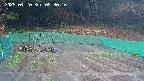 kannonmori-20250420093017.jpg