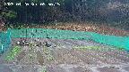 kannonmori-20250420095017.jpg