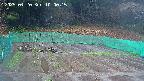 kannonmori-20250420100016.jpg