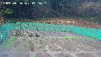 kannonmori-20250420101015.jpg