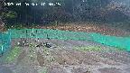 kannonmori-20250420103016.jpg