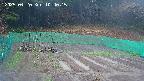 kannonmori-20250420104016.jpg