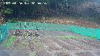 kannonmori-20250420105017.jpg