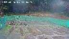 kannonmori-20250420110017.jpg