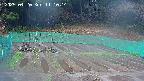 kannonmori-20250420111016.jpg