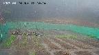 kannonmori-20250420121018.jpg