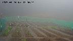 kannonmori-20250420124016.jpg