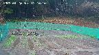 kannonmori-20250420131017.jpg