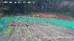 kannonmori-20250420133018.jpg