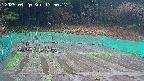 kannonmori-20250420135018.jpg