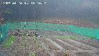 kannonmori-20250420141018.jpg