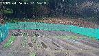 kannonmori-20250420171019.jpg
