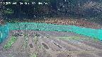 kannonmori-20250420173018.jpg