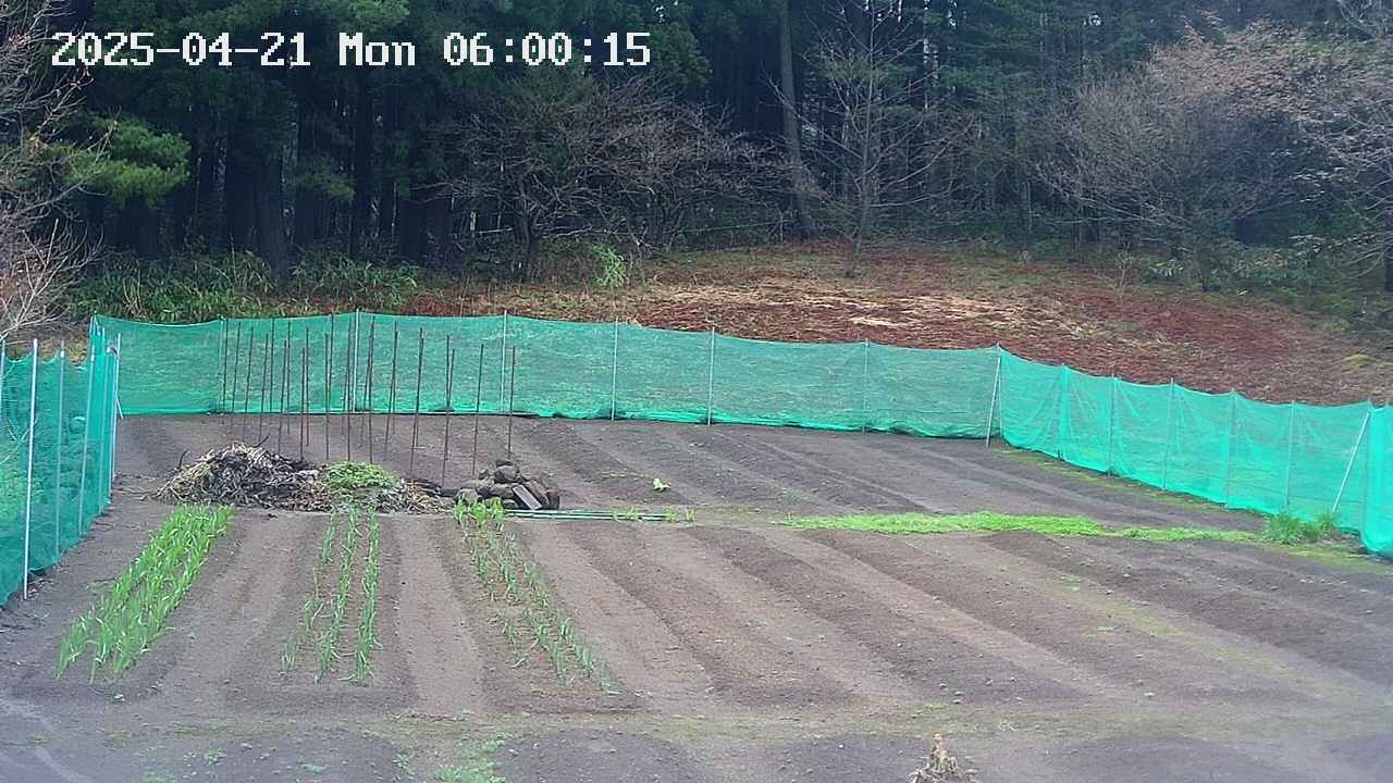 kannonmori-20250421060017.jpg