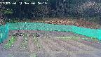 kannonmori-20250421060017.jpg