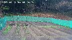 kannonmori-20250421061017.jpg