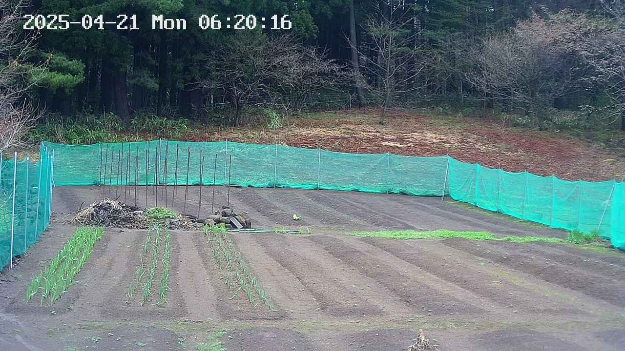 kannonmori-20250421062017.jpg