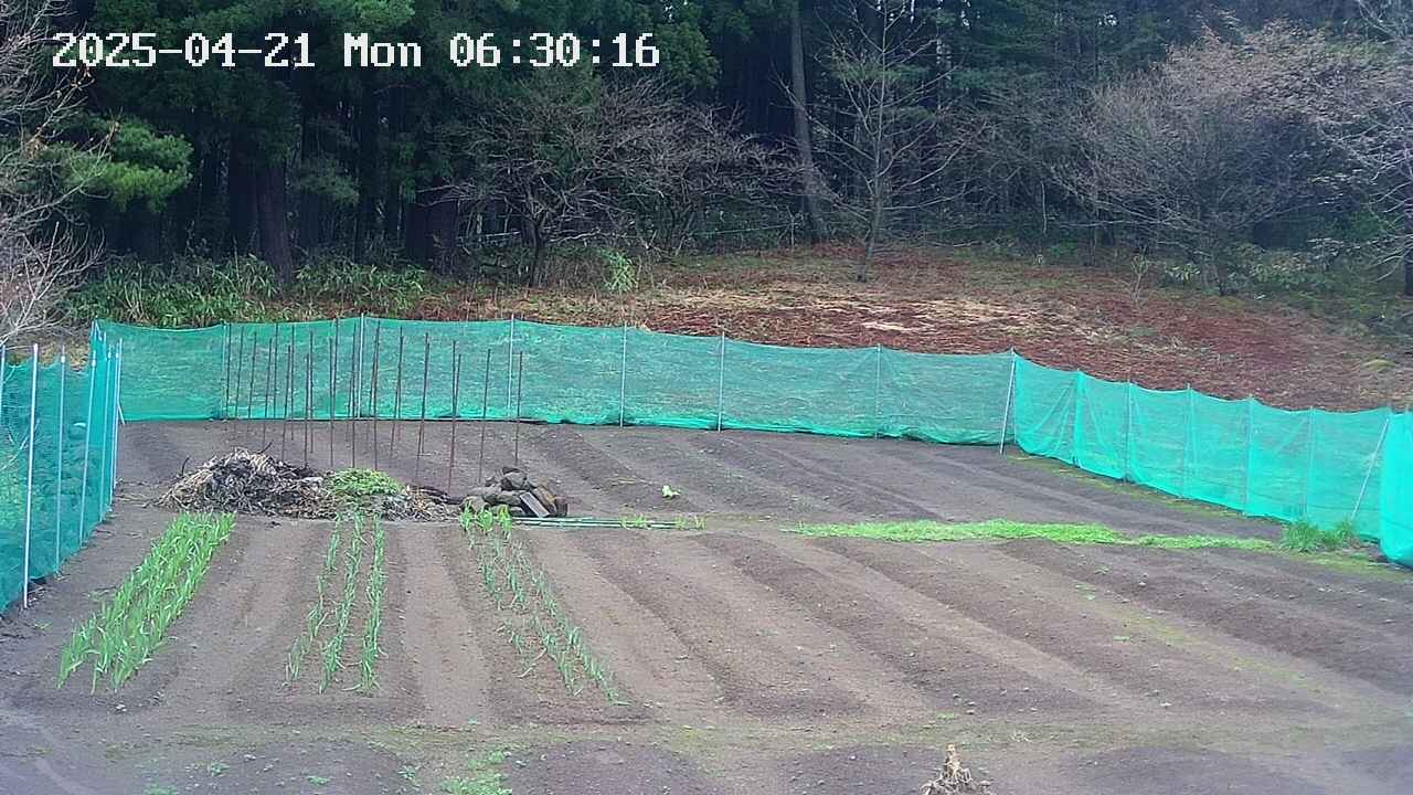 kannonmori-20250421063018.jpg