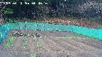 kannonmori-20250421063018.jpg